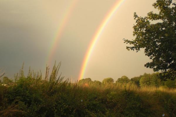 Ferienwohnung in Räbke 12