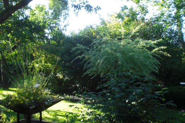 Ferienwohnung in Räbke 9