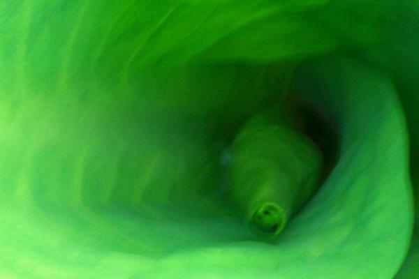 Ferienwohnung in Räbke 11