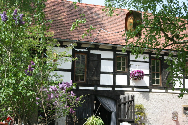 Haus in Rothschönberg 8
