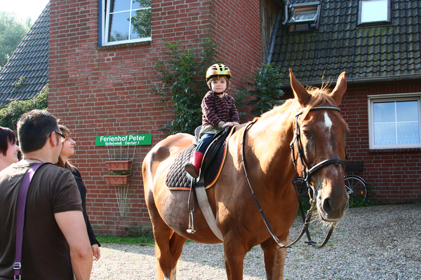 Ferienwohnung in Sankt Peter-Ording 2