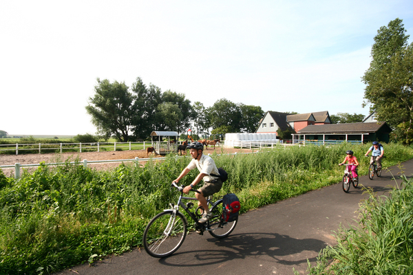 Ferienwohnung in Sankt Peter-Ording 4