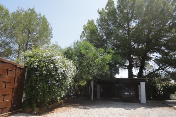 Haus in Santa Gertrudis 15