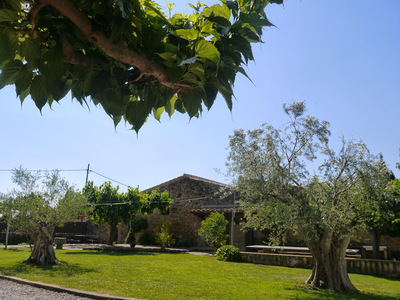 Buchen Sie günstige Ferienhaus in Saus Camallera Llampaies