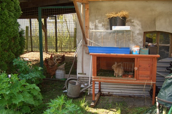Ferienwohnung in Schönburg 10