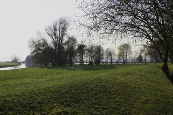 Ferienwohnung in Schönfeld 3