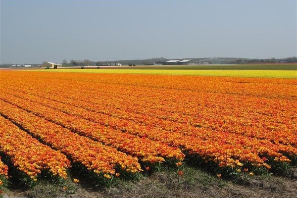 Haus in Sint Maartenszee 5