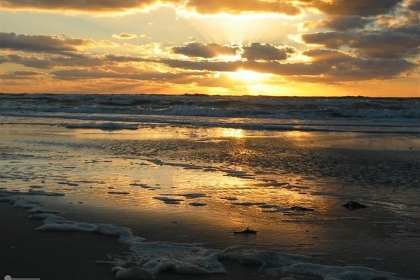 Haus in Sint Maartenszee 6