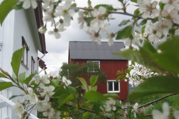 Haus in Snåsa 14