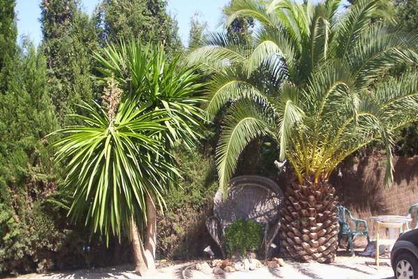 Haus in sa Cabaneta 8