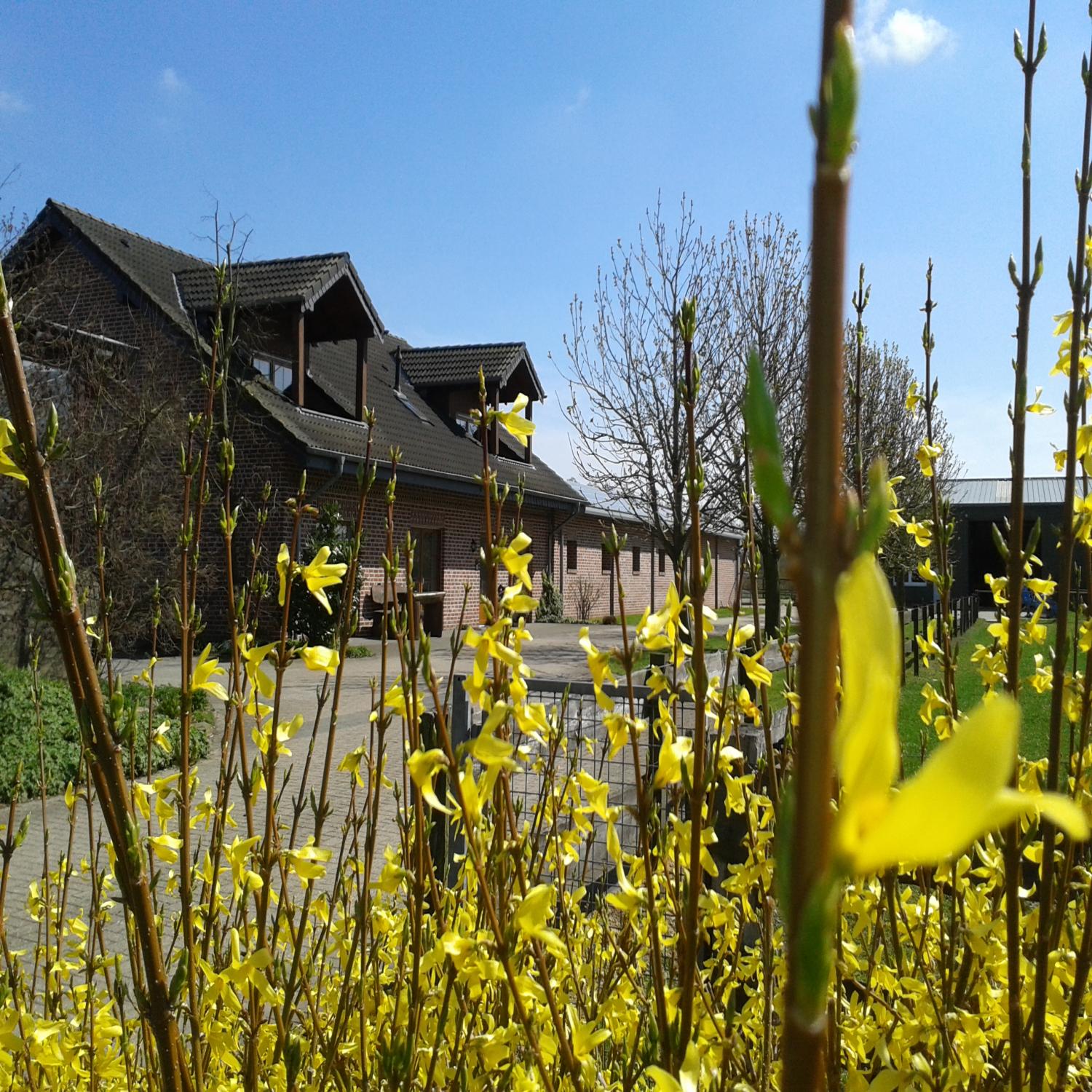 Haus Kaufen In Sonsbeck Hamb