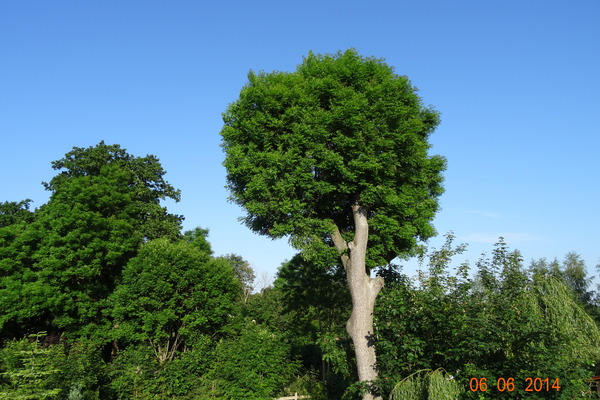 Ferienwohnung in Sorgenlos 11