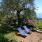 Ferienwohnung in Sorrento 12
