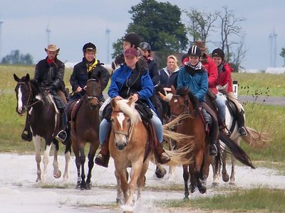 Buchen Sie günstige Gästehaus in St Andrä am Zicksee