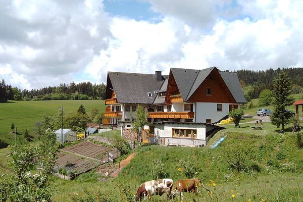 Ferienwohnung in Langenschiltach 2