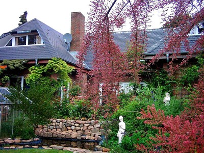 Buchen Sie günstige Ferienhaus in Steinberghaff