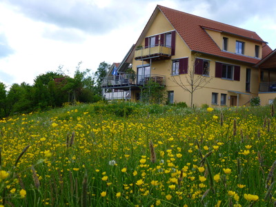 Buchen Sie günstige Urlaubsdomizil in Sternenfels-Diefenbach