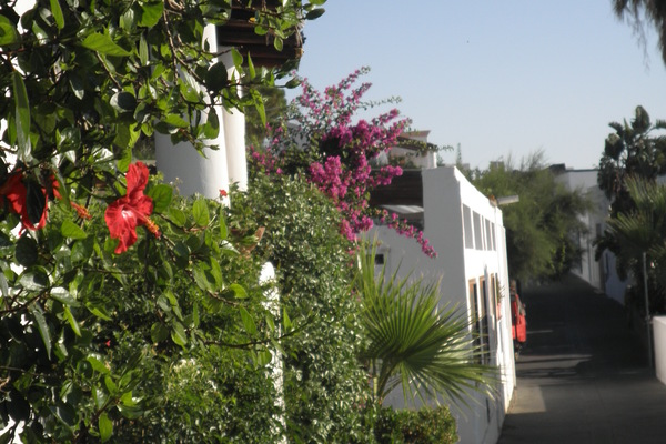 Bed and Breakfast in Stromboli 2