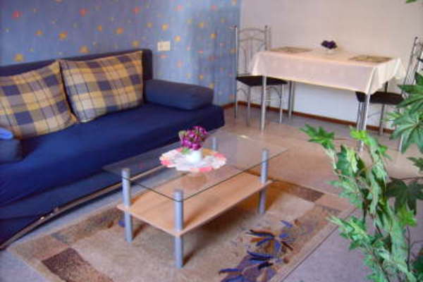 Ferienwohnung in Goldlauter 3