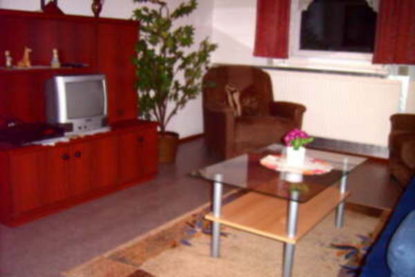 Ferienwohnung in Goldlauter 4