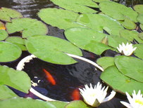 Zimmer:  Ferienhäuser "Am Geiersberg"