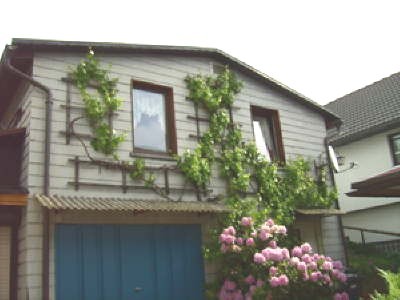 Buchen Sie günstige Urlaubsdomizil in Suhl-Goldlauter