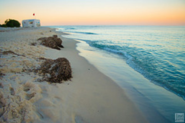 Ferienwohnung in Sousse 11