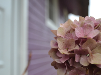 Buchen Sie günstige Urlaubsdomizil in Teterow