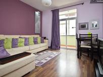 One cozy bedroom apartment in Tirana