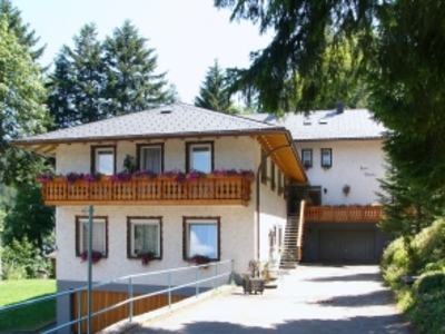 Buchen Sie günstige Ferienwohnung in Todtmoos