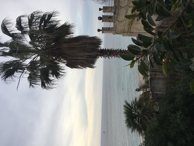 Buchen Sie günstige BnB in Tropea