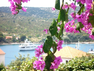 Buchen Sie günstige Urlaubsdomizil in Vinišće