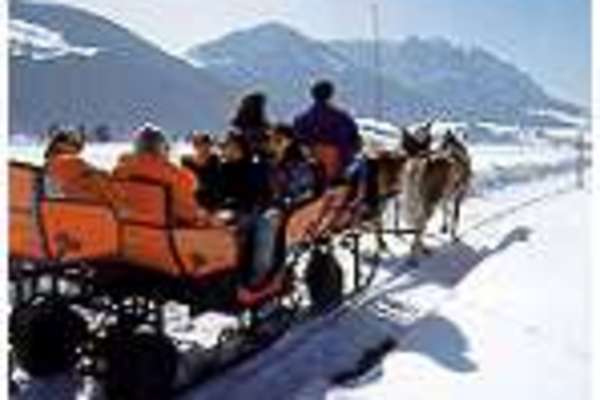 Ferienwohnung in Walchsee 17