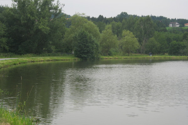 Haus in Erlauzwiesel 7