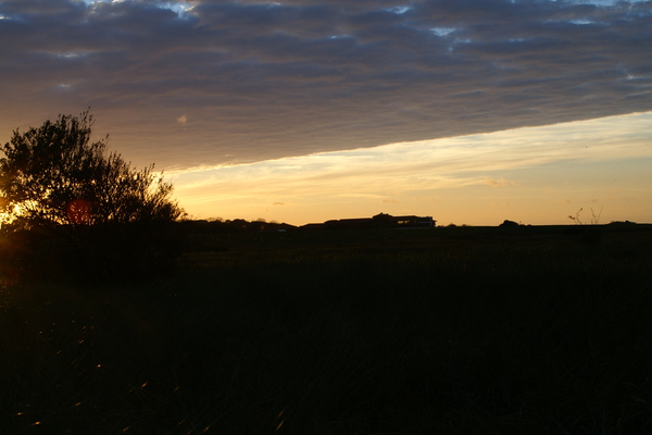 Ferienwohnung in Schillig 11