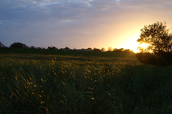 Ferienwohnung in Schillig 12