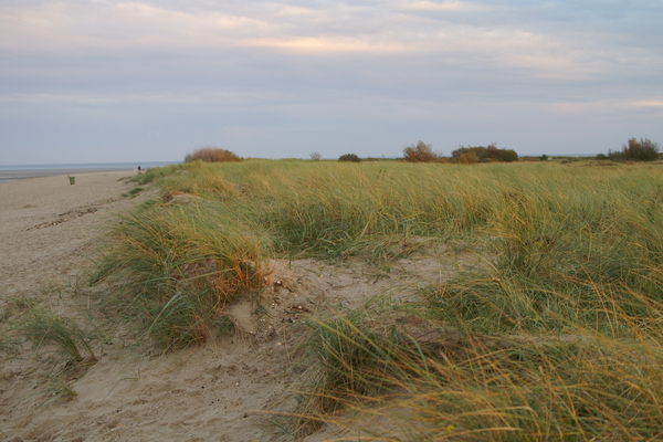 Ferienwohnung in Schillig 13