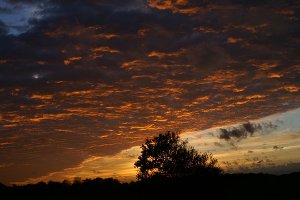 Ferienwohnung in Schillig 14