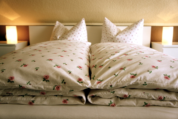 Bed and Breakfast in Elze 3