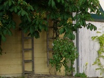 LAHNIDYLL-FERIENZIMMER-GRÄVENECK