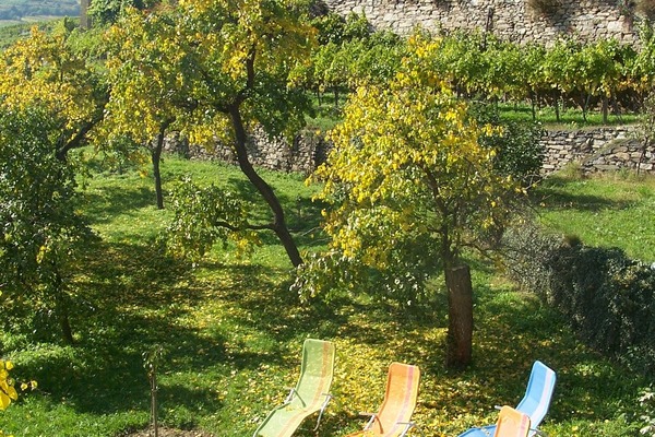 Ferienwohnung in Weissenkirchen in der Wachau 6