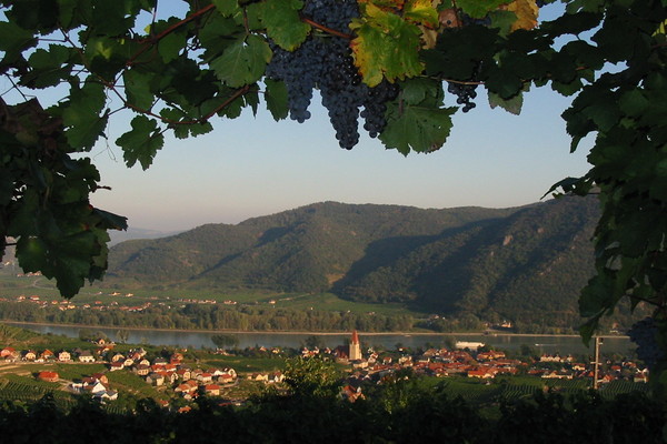 Ferienwohnung in Weissenkirchen in der Wachau 2