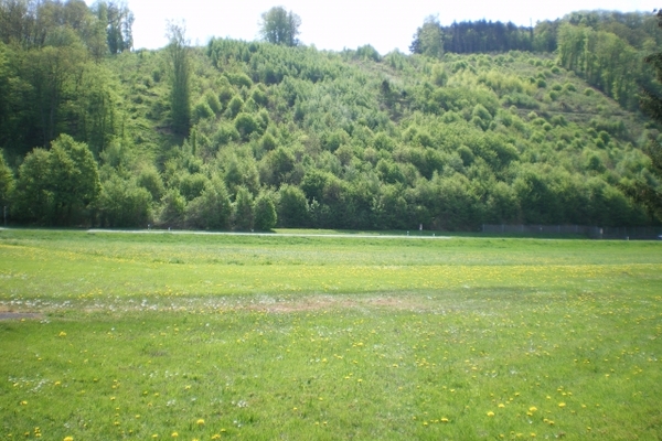 Ferienwohnung in Wertheim 4