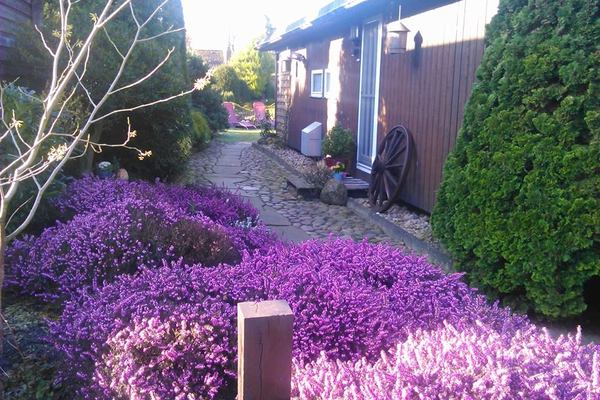 Haus in Wettringen 7