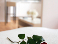 Cosy MINI - Boutique Apartment