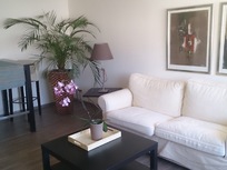 Cosy City over the rooftop