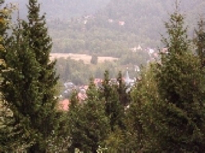 Buchen Sie günstige Ferienhaus in Wildemann
