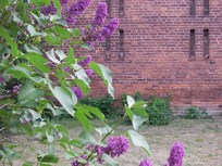 Knechtkammer in der Heu-Herberge