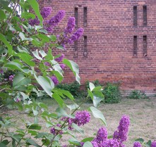 Knechtkammer in der Heu-Herberge