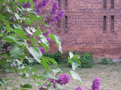 Buchen Sie günstige Fremdenzimmer in Zerbst